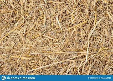 Dry Yellow Straw Grass Background Texture Closeup Wallpaper Stock