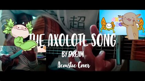 The Axolotl Song By Dream Acoustic Cover Youtube