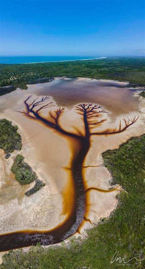 A Viral 🌳 Photo Of Lake Cakora In New South Wales Australia Stunning