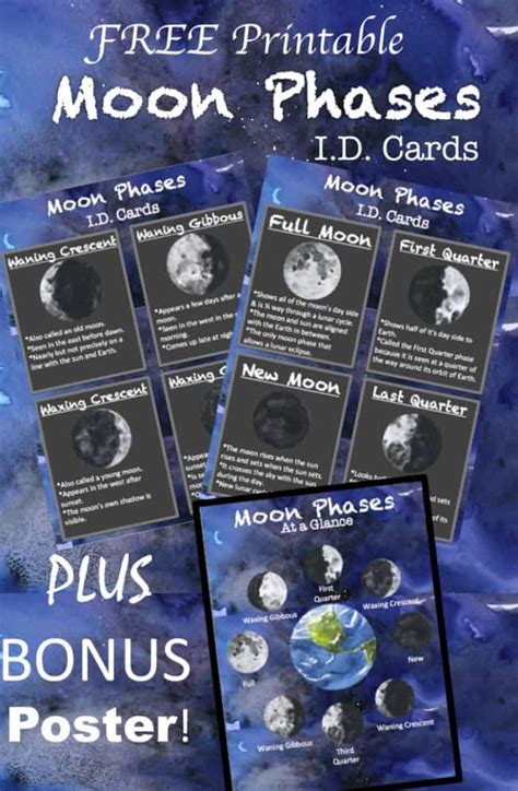 Moo provides templates for all their products. FREE Printable Moon Phases ID Cards + BONUS Poster