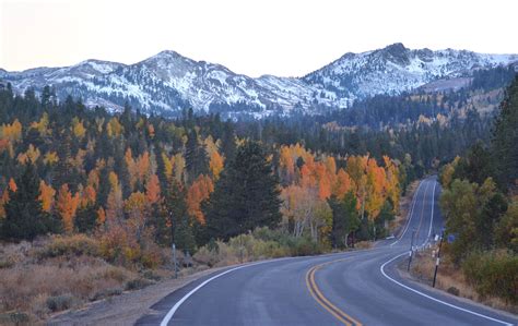 Where To Catch The Best West Coast Fall Foliage In Us And Canada