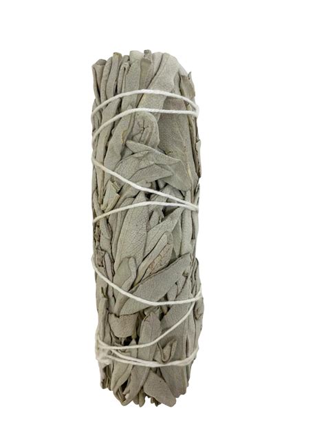 White Sage Smudge Stick 4