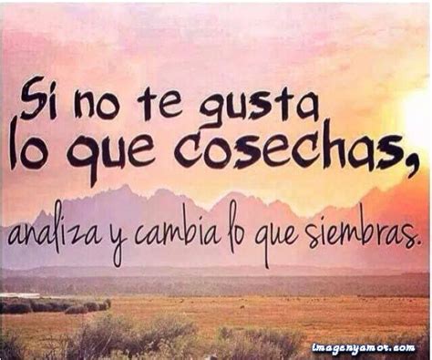 Frases Bonitas Para Facebook Imagenes Con Consejos Y Reflexiones Para