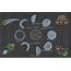 Study Phases Of Moon  Art Starts For Kids