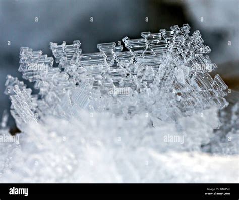Hoar Frost Crystals Stock Photo Alamy
