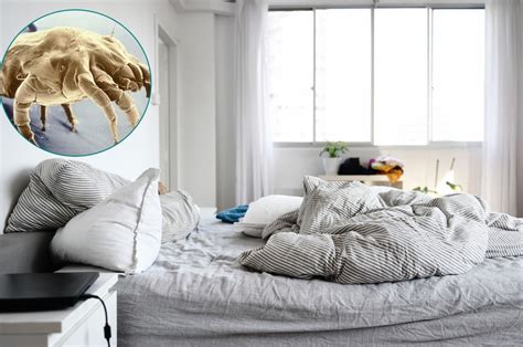 Milben Im Bett Hausstaubmilben Das Sind Tipps Galileo Holzterrasse Parkettat