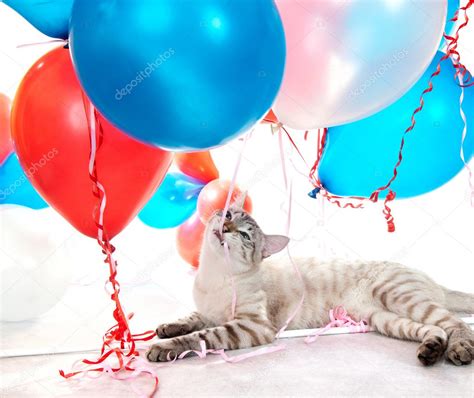 Cat Playing With Balloons — Stock Photo © Yykkaa 5553525