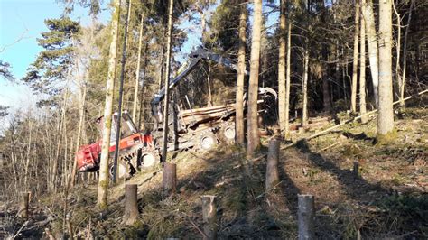 Quotidien d'information numéro 1 dans le canton de neuchâtel, arcinfo présente d'excellentes performances, que ce soit pour votre publicité presse, online ou mobile. Neuchâtel: travaux d'entretien prévus dans la forêt de ...