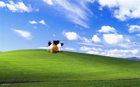 Funny Windows Wallpapers Top Free Funny Windows Backgrounds
