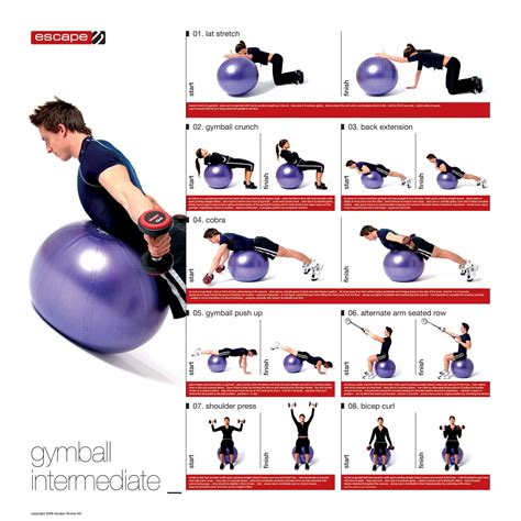 gymball exercises | Ball exercises, Home gym exercises ...