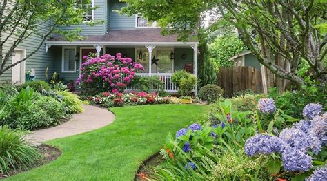 Shrubs And Perennials For A Colorful Summer Landscape Platt Hill