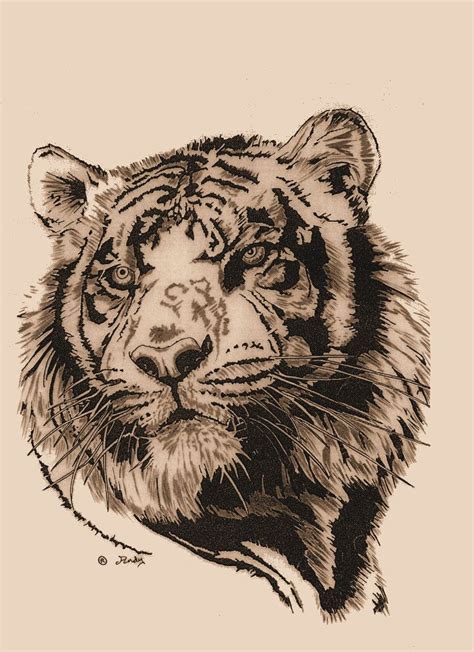 Tegning Af Tiger Nemme Tegninger