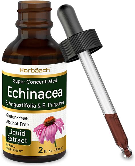 ranking the best echinacea supplements of 2021 body nutrition