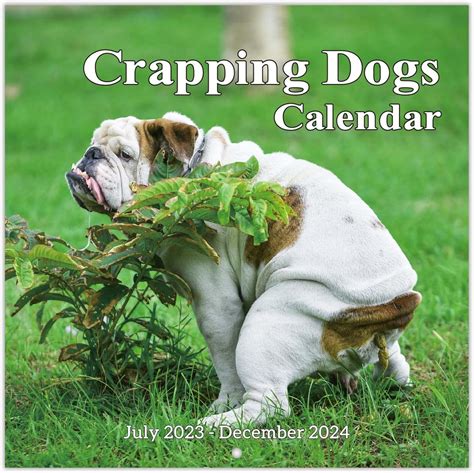 2023 2024 Wall Calendar 18 Monthly Pooping Dogs Calendar 2023 2024