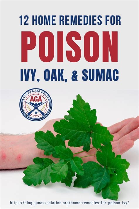 Get Relief As Soon As Possible With These Home Remedies For Poison Ivy