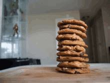 Biscuit GIFs | Tenor