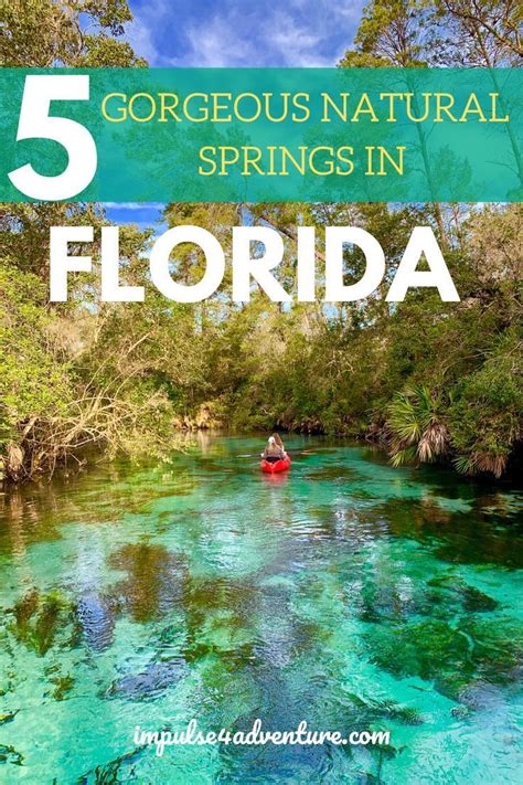 5 Gorgeous Natural Springs In Florida Old Florida Naples Florida