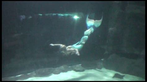 Famous Aquarium Shows Mermaid Performer Underwater Skills Specialty Act