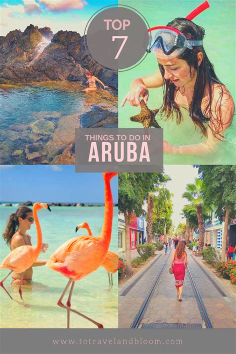 Top 7 Things To Do In Aruba