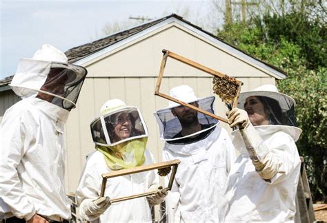 Beekeeping Courses Learn About Beekeeping And Become A Beekeeper Uk