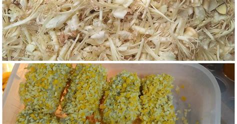 151 Resep Kembang Durian Enak Dan Sederhana Ala Rumahan Cookpad
