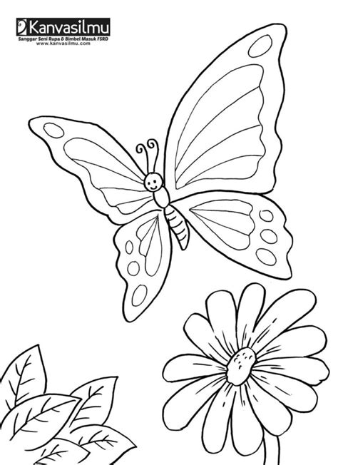 Kumpulan gambar sketsa kupu kupu. Gambar Sketsa Kupu Kupu Hinggap Di Bunga Mawar