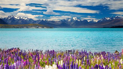 4k New Zealand Wallpapers Top Free 4k New Zealand Backgrounds