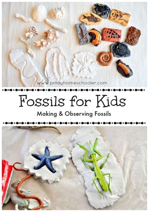 Fossil Lessons For Kids