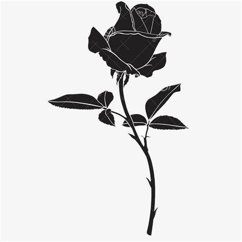 Black Rose Clipart 20 Free Cliparts Download Images On Clipground 2024