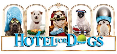 Hotel For Dogs Header Hotel For Dogs Photo 3823065 Fanpop