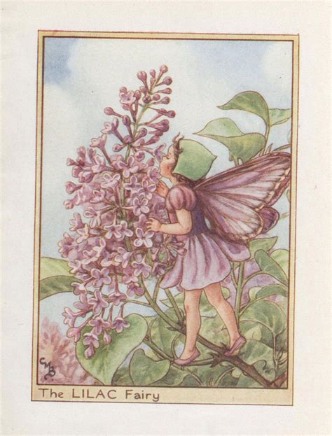 Flower Fairies The Lilac Fairy Vintage Print C1930 By Cicely Etsy Uk