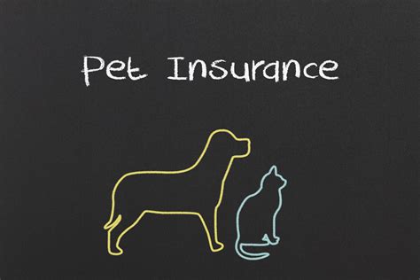 Pet Insurance Tips On How To Get The Best Deal Finsmes