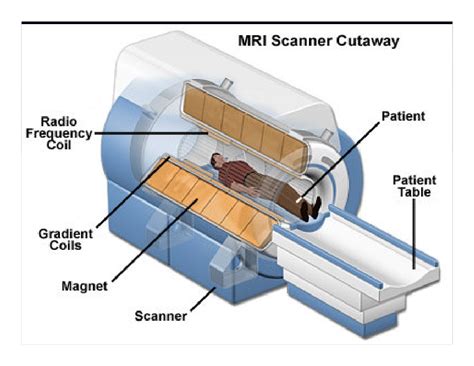 Magnetic Resonance Imaging Mri Part 1 How It Works