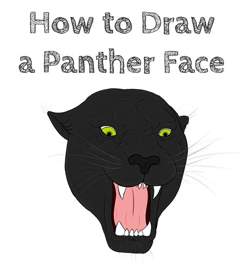 How To Draw A Panther Face How To Draw Easy