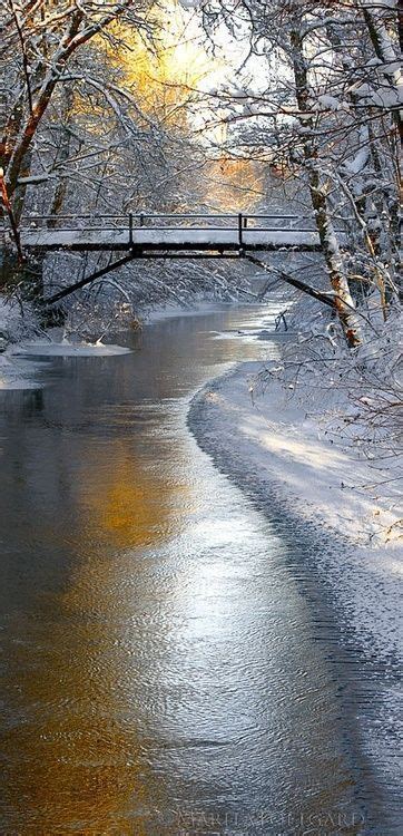 Bridge Winter Landscape Winter Pictures Winter Photography