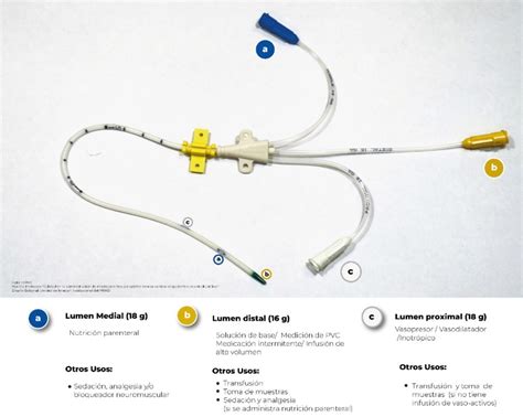 Manejo Y Uso De Medicamentos Por Catéter Venoso Central A Pacientes En