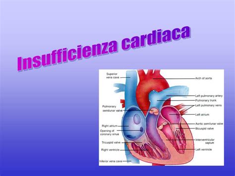 PPT Insufficienza Cardiaca PowerPoint Presentation Free Download ID