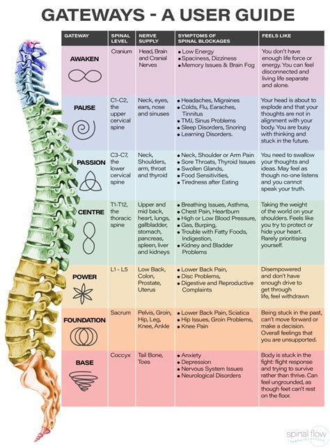 Spinal Flow Technique Is A Healing Modality Based On The Science