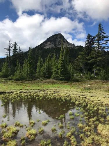 Best 10 Hikes And Trails In Mount Jefferson Wilderness Alltrails