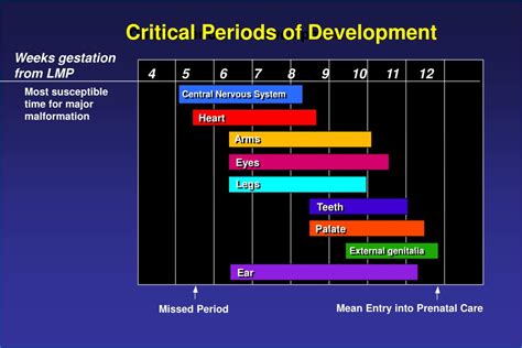 Ppt Maternal And Perinatal Health An Overview Powerpoint Presentation