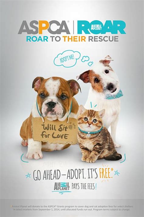 Adopt a pet from the aspca. Austin Animal Center and Austin Humane Society are teaming ...