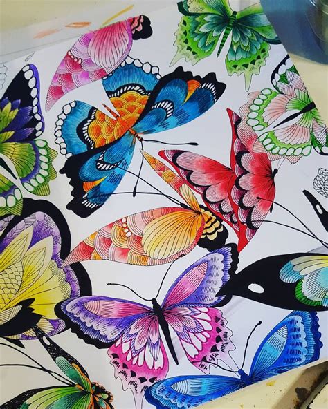 Finished My Butterflies Tropicalworld Adultcoloringbook Colouring