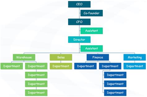 An organizational chart shows the internal structure of an organization or company. Trade Company Org Chart