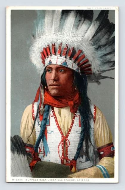 Postcard Native American Apache Indian Buffalo Calf Jicarilla Fred Harvey 1920s 12 00 Picclick