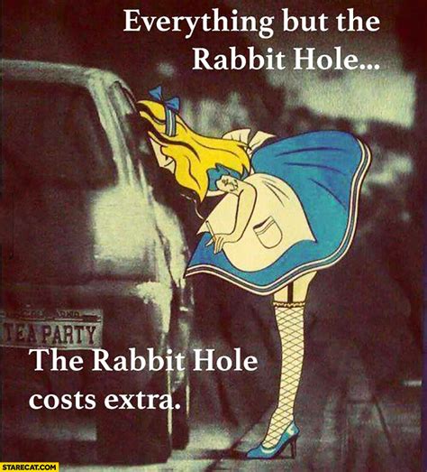 Everything But The Rabbit Hole The Rabbit Hole Costs