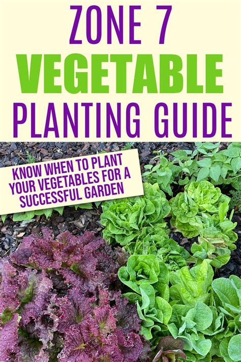 This Zone 7 Vegetable Planting Chart Can Be Easily Adapted To Other