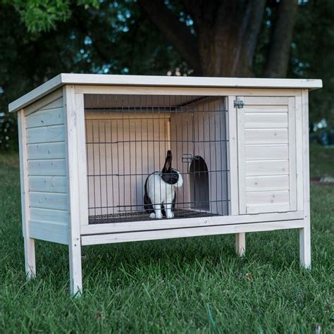 What Makes Good Exterior Rabbit Cages Animals R Great