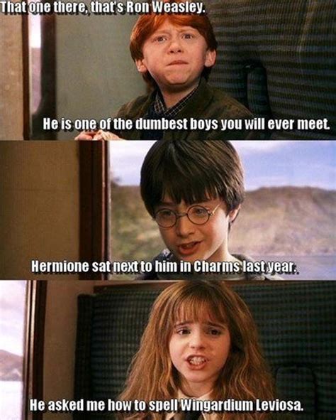 Best Harry Potter X Mean Girls Mash Up Memes On The Internet Mean