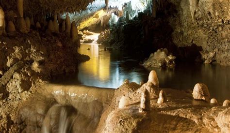 explore the cave of barbados loop barbados
