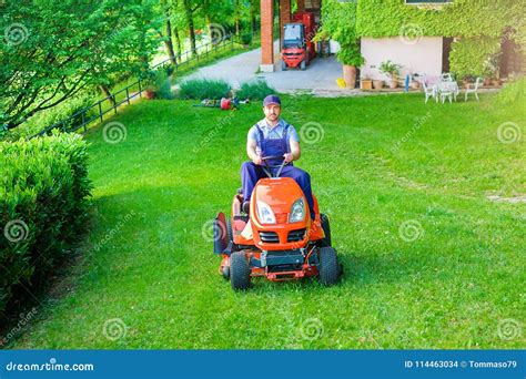 Gardener Driving And Mowing Grass In Garden Stock Photo Image Of